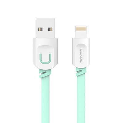 Chargeur téléphone iPhone vert pastel